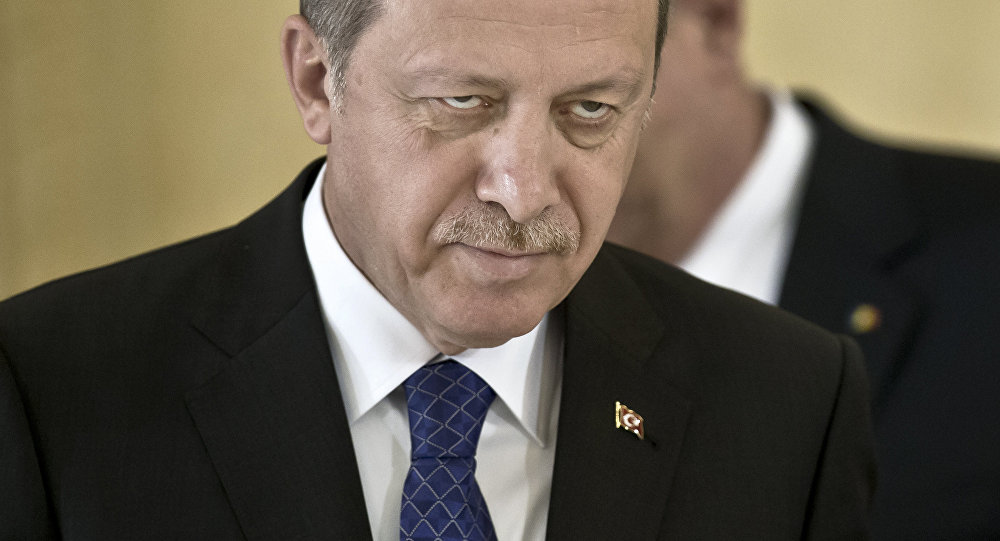 Turški pohod na Evropo, Erdogan Turkom v Evropi: imejte po pet otrok, vi ste prihodnost EU!