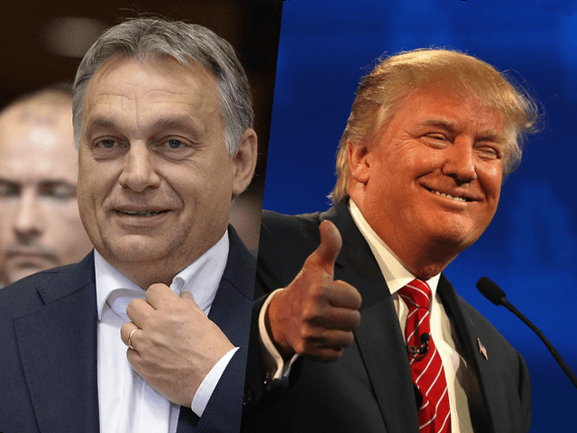 Orban uspešnejši kot Trump: Rada gradita “zidove”, drugi pa naj plačajo!