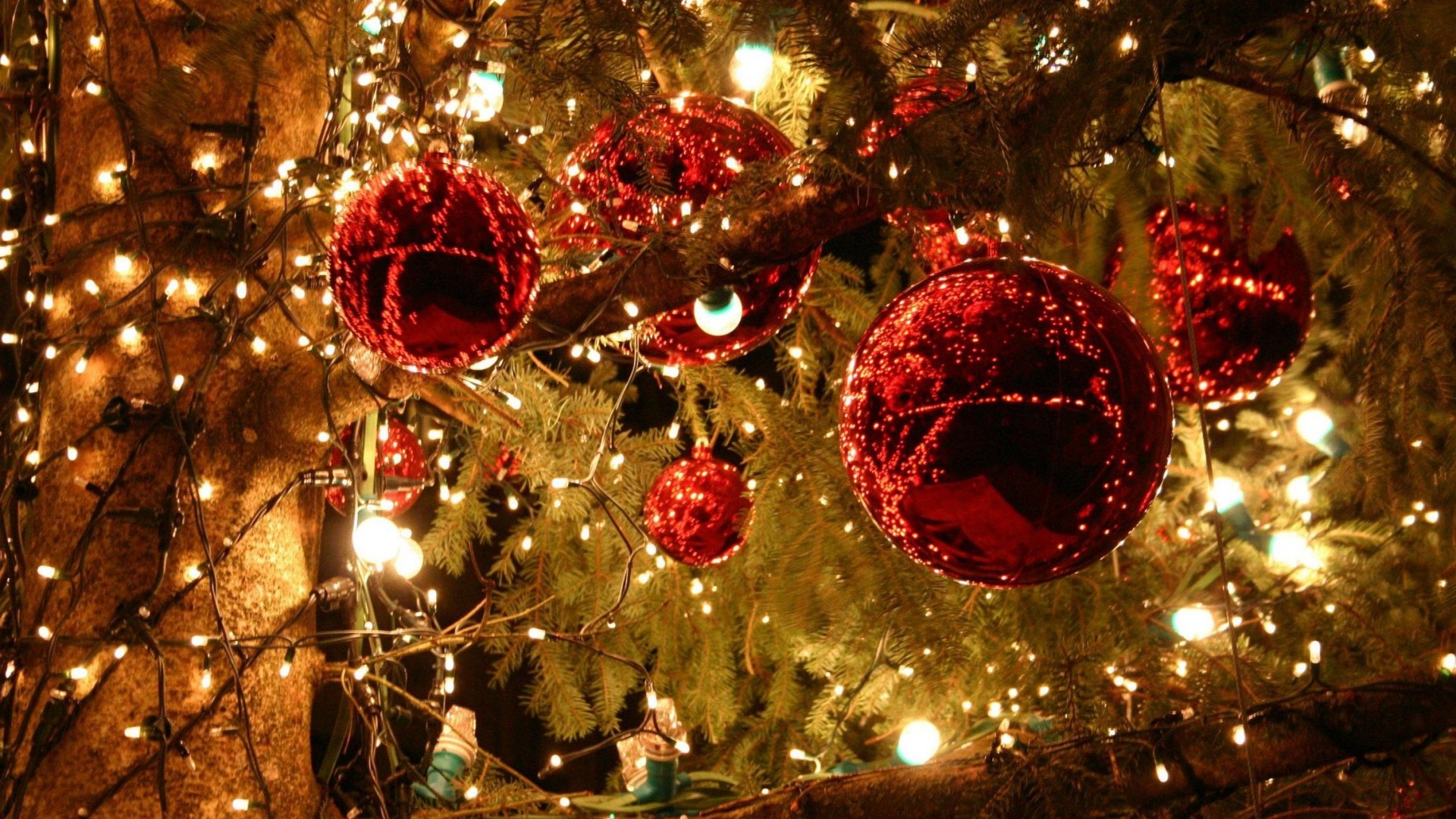 Topnews: Vesel božič in blagoslovljene praznike vam želimo