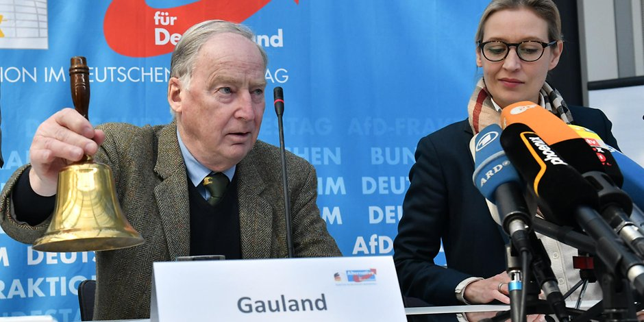 AFD trenutno druga največja stranka v Nemčiji: Ultradesničarji dihajo Merklovi za ovratnik