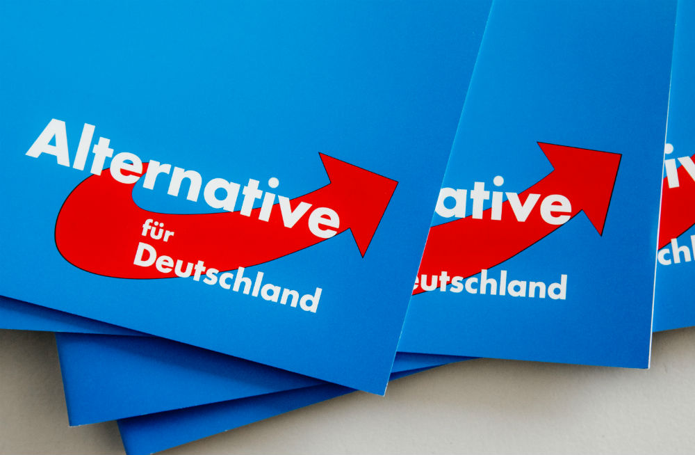 Bild: Alternativa za Nemčijo (AfD) izgublja podporo volivcev