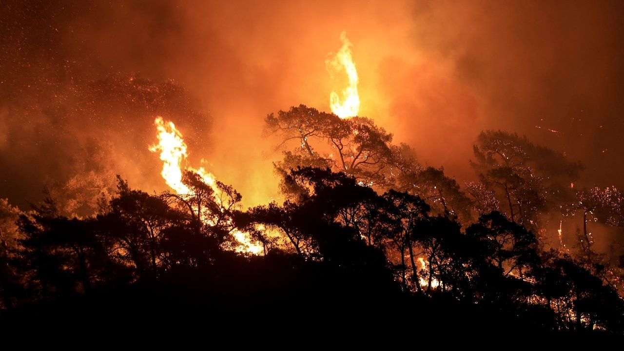 Podnebne spremembe: Smrtonosni vročinski valovi, poplave in gozdni požari postajajo vse pogostejši