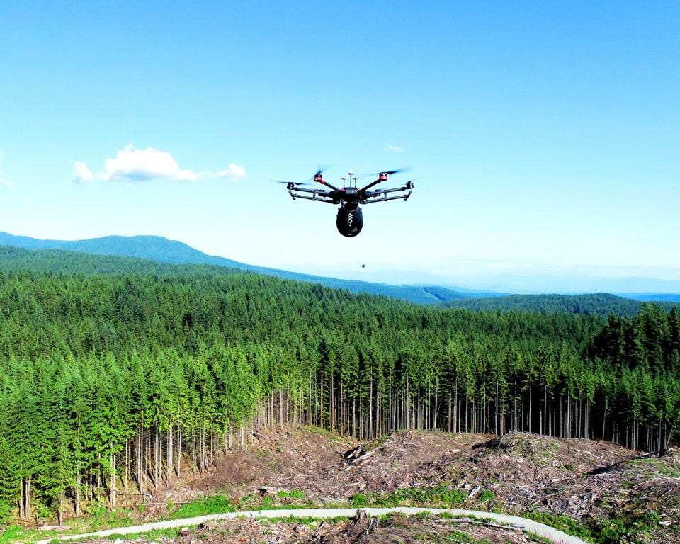 Proizvajalec dronov predstavlja inovativno tehnologijo pogozdovanja
