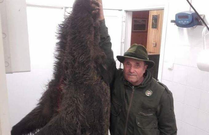 Zgodba o lovcu, ki ga je napadla medvedka, ker je kritiziral Jožeta Možino – Igor Pirkovič pa Možino kar verzih brani pred Svetlano Makarovič  