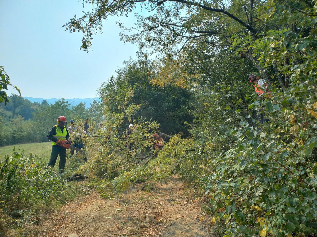 Po gasilcih “na suhem” ostali še prostovoljci sekalci –  Kako so SiDG Slovenski državni gozdovi dobesedno “nategnili” številne prostovoljce in sekače, ki so na Krasu sekali in odvažali drevesa, da ogenj ne bi preskočil