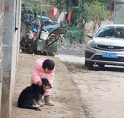 (VIDEO) Pretresljivo: Kitajska deklica pokrila ušesa svojemu psičku, da bi se izognil strahu pred ognjemetom