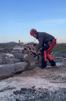(VIDEO) “Drv ne damo!” – Poslanec NSi Aleksander Reberšek “z motorno žago nad Golobovo vlado”